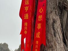 -隆兴寺