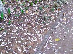 -广东外语外贸大学(白云山校区)