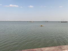 -新洲生态园