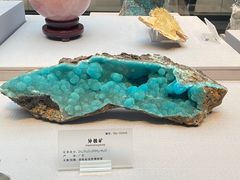 -湖南省地质博物馆