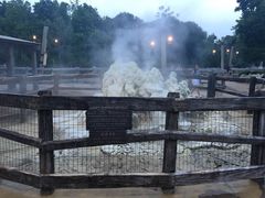 -小镇影院迪士尼小熊Duffy与他的朋友合影地