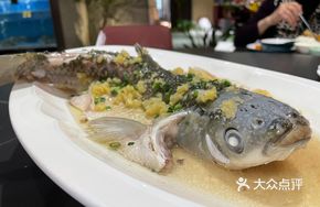 Steamed Mountain Catfish with Ginger and Salt
