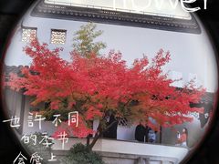 -秋霞圃