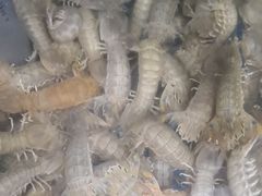 -宾朋海鲜特色美食餐厅·纯手工鲅鱼水饺(兴海路店)