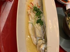 雪菜肉丝蒸大黄鱼-南京富力万达嘉华酒店·游宴一品淮扬中餐厅