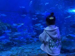 -多彩贵州城极地海洋世界