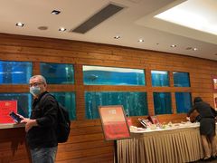 -利苑酒家(合景国际金融广场店)