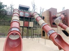 -枫香湖儿童公园