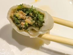 茴香猪肉-东方饺子王(工农大路店)