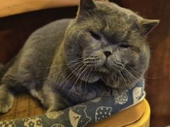 -吹泡·Triphop(棋盘店)