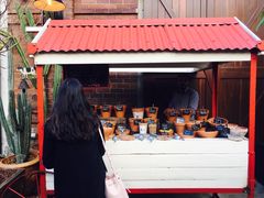 小铺-The Grounds of Alexandria