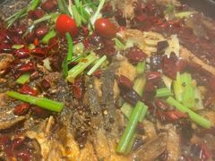 -老板恋上鱼(恒隆广场店)