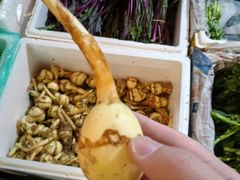 -岳各庄批发市场(西四环中路店)