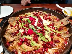 -老板恋上鱼(振华商厦店)