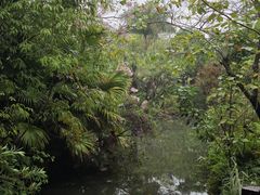 -水底山庄园温泉