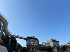 -金鸡山公园