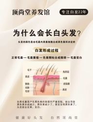 -Bollins波林丝•专研护发中心