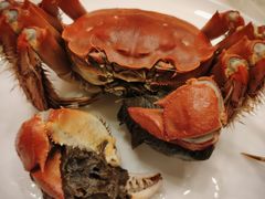 清蒸大闸蟹-王宝和酒家(黄浦店)