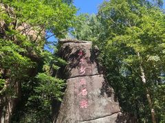 -汤旺河林海奇石景区