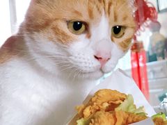 -肯德基(九龙店)