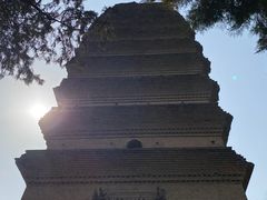 -西安博物院