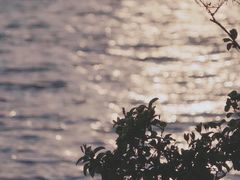 -大理洱海