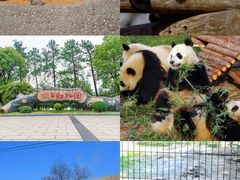 -南昌动物园