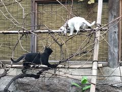 -驿舍·民國老营房院子私房菜(科学会堂店)