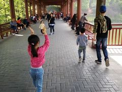 -重庆彩云湖湿地公园