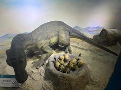 -国家自然博物馆