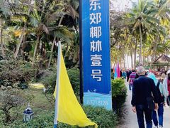 -东郊椰林