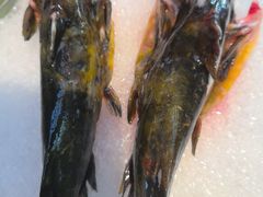 -皇城老妈川味火锅·大连海鲜火锅(港湾店)