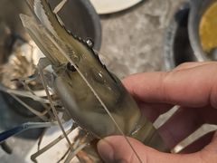 -曼格活海鲜·牛排自助(光明蓝鲸店)