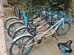 -三圣花乡旅游区