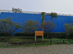 -田园东方蜜桃村的田野营地