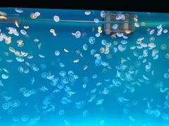 -多彩贵州城极地海洋世界