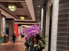 -龙悦湾酒家·八阵鱼生·渔人码头店
