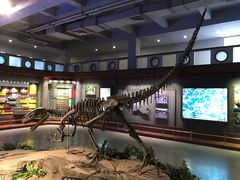 -自贡恐龙博物馆