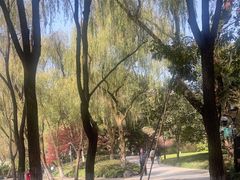 -柳浪闻莺公园