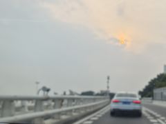 -演武大桥观景平台