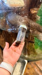 -Zoolung Zoolung动物主题公园(海信广场店)