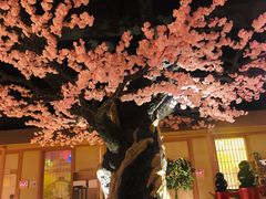 -蓝鲸湾汤泉(包河店)