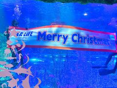 -沈阳海洋探索中心