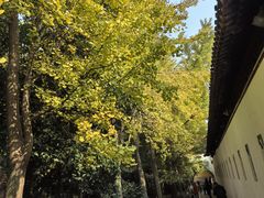 -西园戒幢律寺