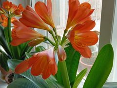 -天天渔港(杏林街店)