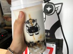 双蛋小皇椰（白屁屁）-茶力的小怪兽(梅林卓悦汇店)