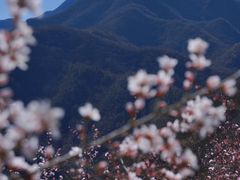 -龙泉峪长城