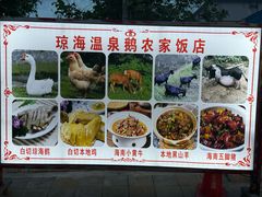 -琼海温泉鹅农家饭店
