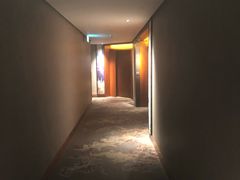 -新加坡瑞士史丹福酒店