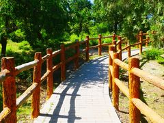 -白水寺森林公园